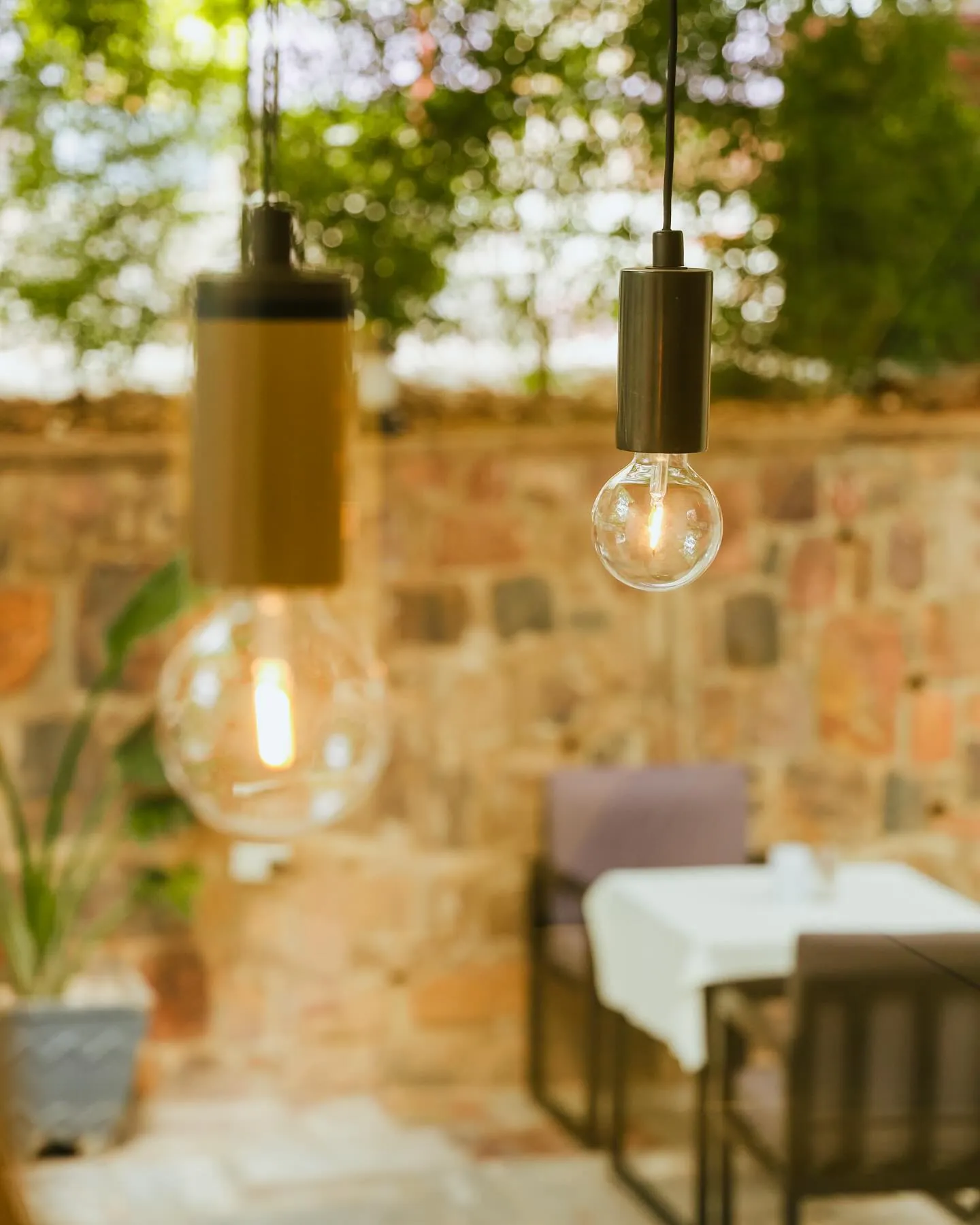 Bulbs against old stone